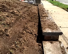 clean_enhanced_image (1)